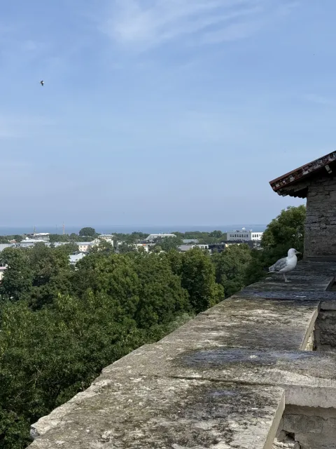Foto 13 vom Tag 3 – Tallinn